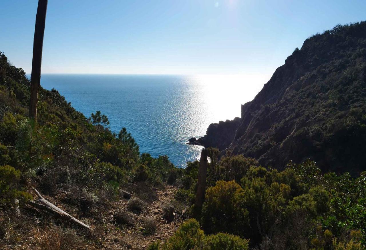 M'Illumino D'Immenso - Moneglia Apartments المظهر الخارجي الصورة